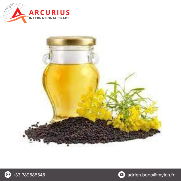 Made in France Good Quality of 100% Pure Refined Edible Rapeseed Oil/Canola Oil from Wholesale Supplier