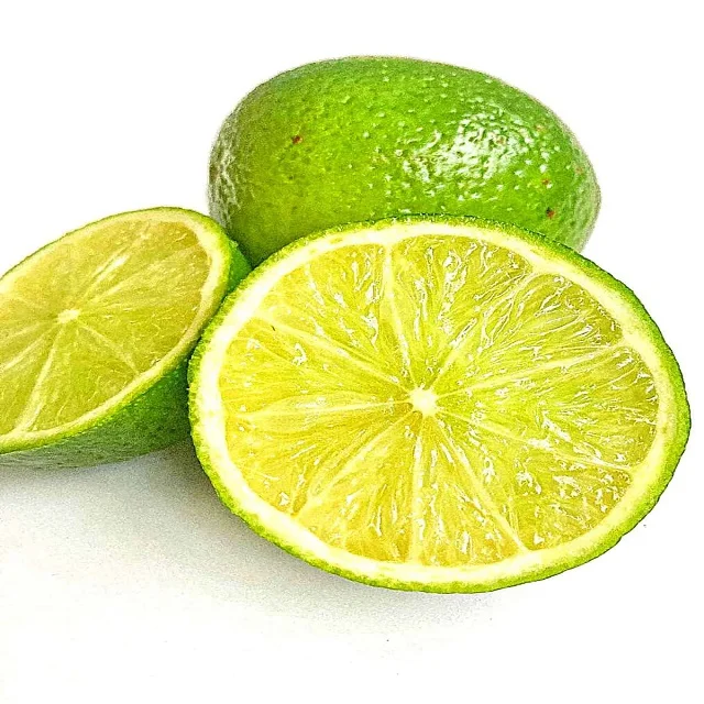 Свежие фрукты новый урожай Свежий лайм без косточек/свежий лайм/свежий зеленый лимон поставщик