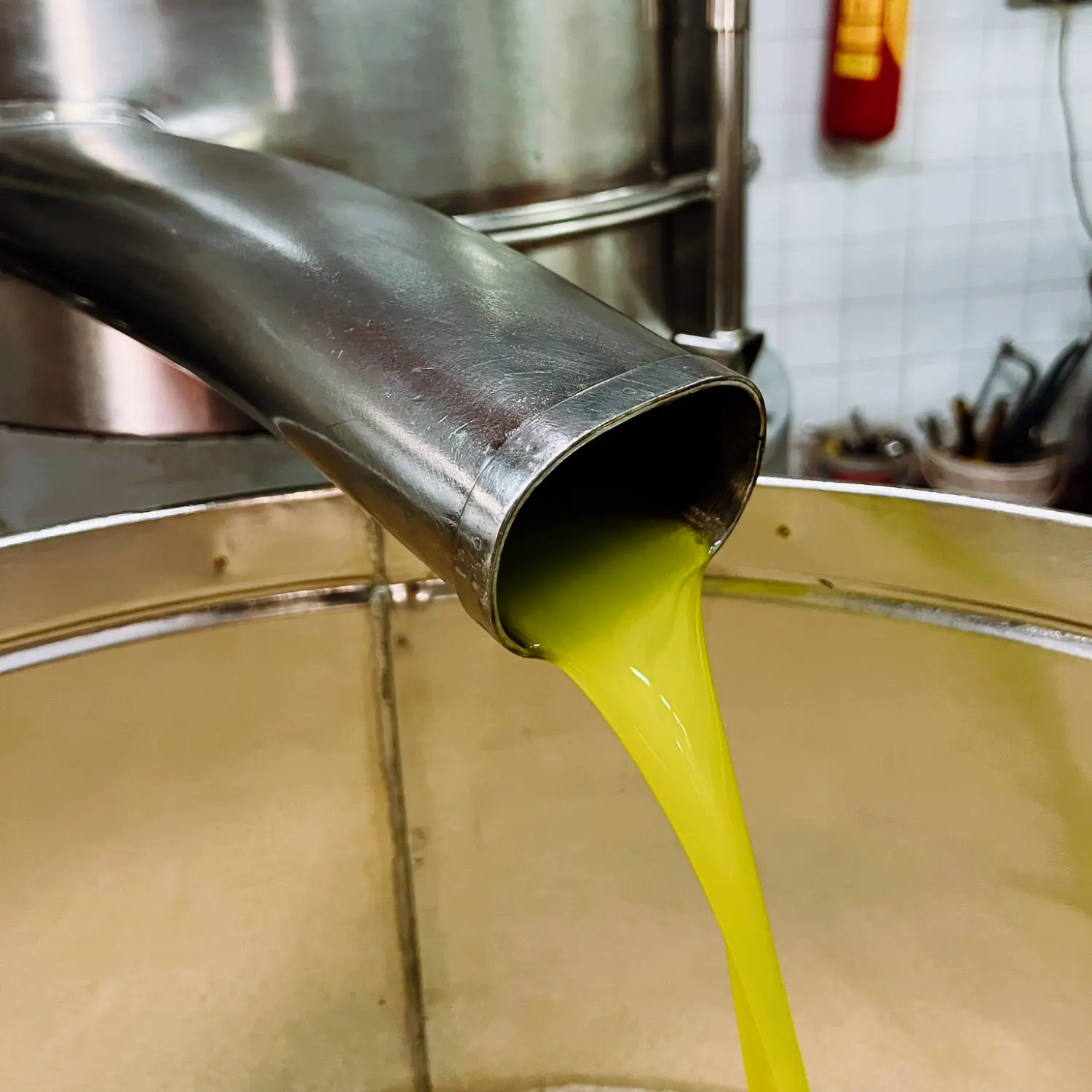 Cold Pressed Extra Virgin Olive Oil from Sicily in 5lt Can Perfect for White Meat and Grilled Fish