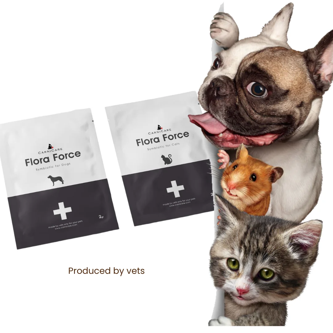 Tasteless Liquid Feed Additive for Cats and Dogs Immune and Digestive System Booster Pet Health Care Supplement