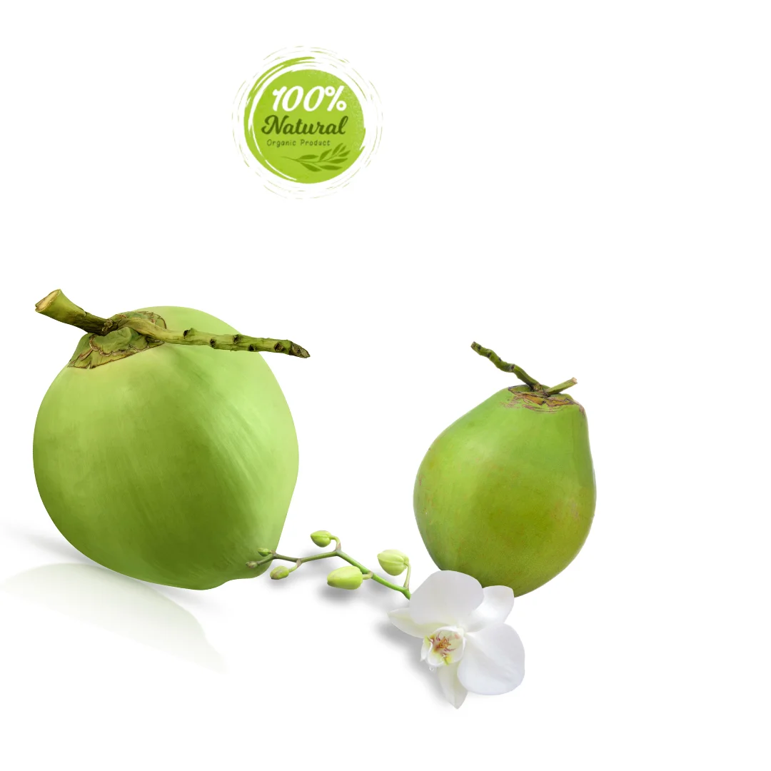 How to Incorporate Vietnamese Coconut Water Into Your Diet