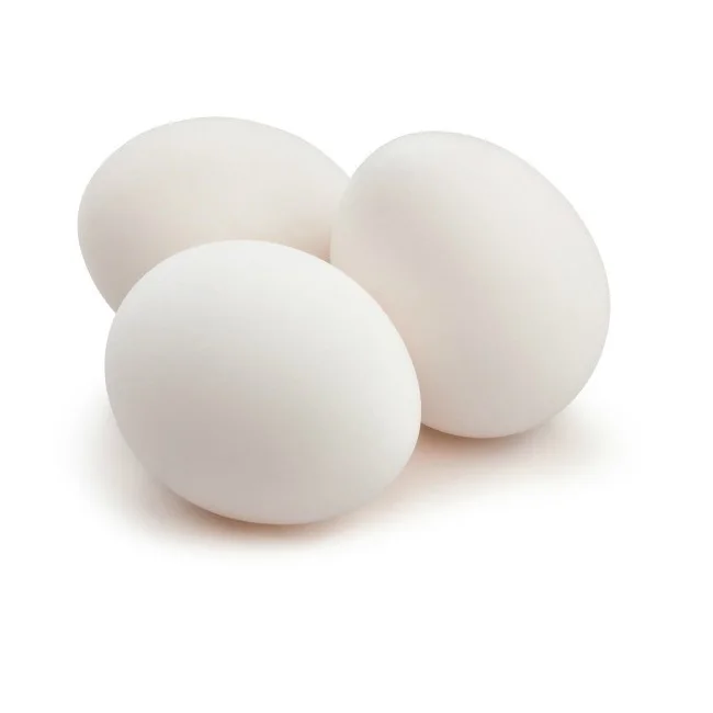 Свежие яйца высшего качества, оптовая цена, свежие яйца