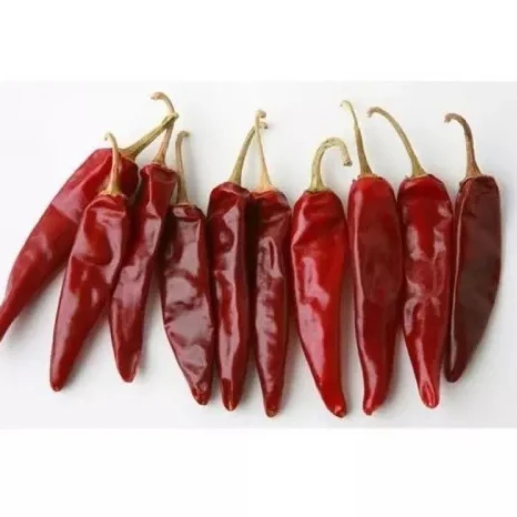Best Dealer Of Red Fresh Chili Pepper At Low Prices Hot Sale in Bulk Quantity High Quality Dried Red Chili Export