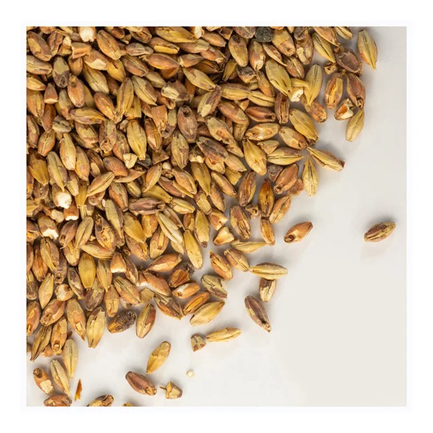 100% Malt Barley, Hulled Barley, Pearl Barley For Sale Animal Feed and Human / Barley Malt at cheap price