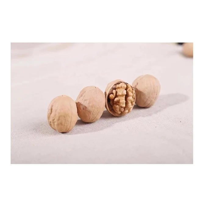 Peeled Kernel Walnuts High Quality Walnut Kernel Brazil Supplier Low Price Light Halves Walnut Kernels