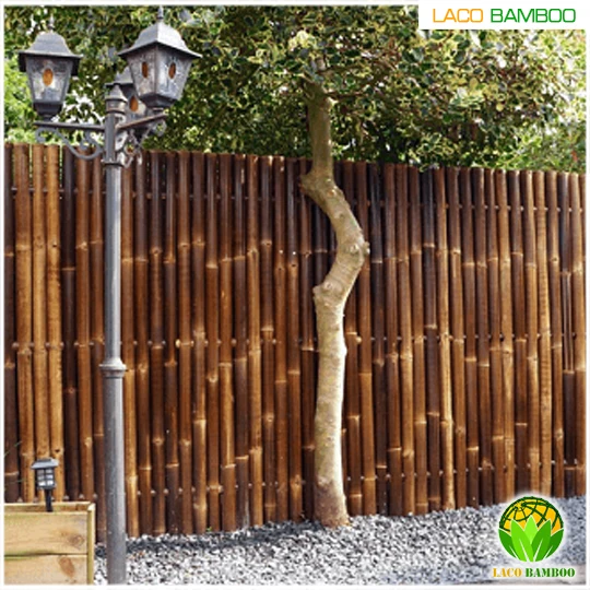 Bamboo Cane with Cheap Price, Moso Bamboo Poles Custom Service Natural Bamboo For Decor And Construction.