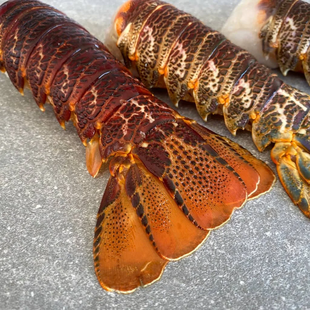 lobster3.jpeg