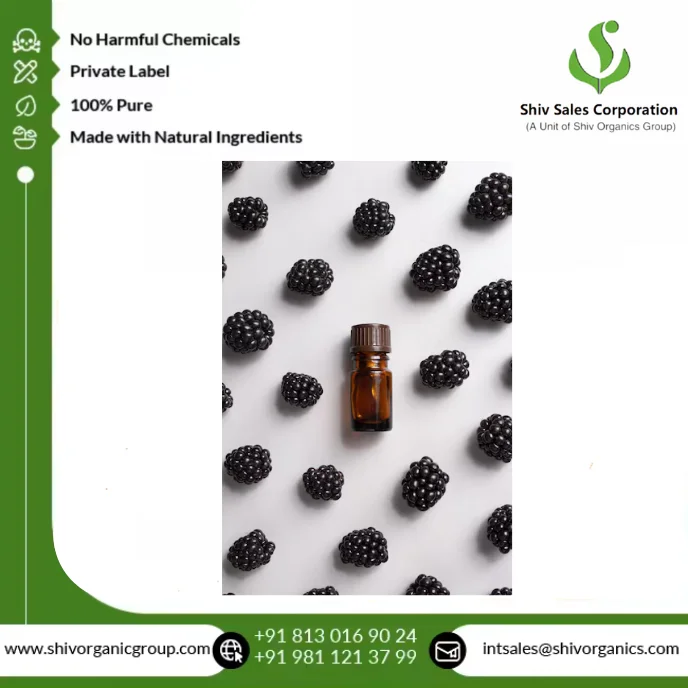 Premium 100% Pure Blackberry Seed Oil Cold Pressed Natural Oil for Cosmetics Skincare and Nutraceutical Applications