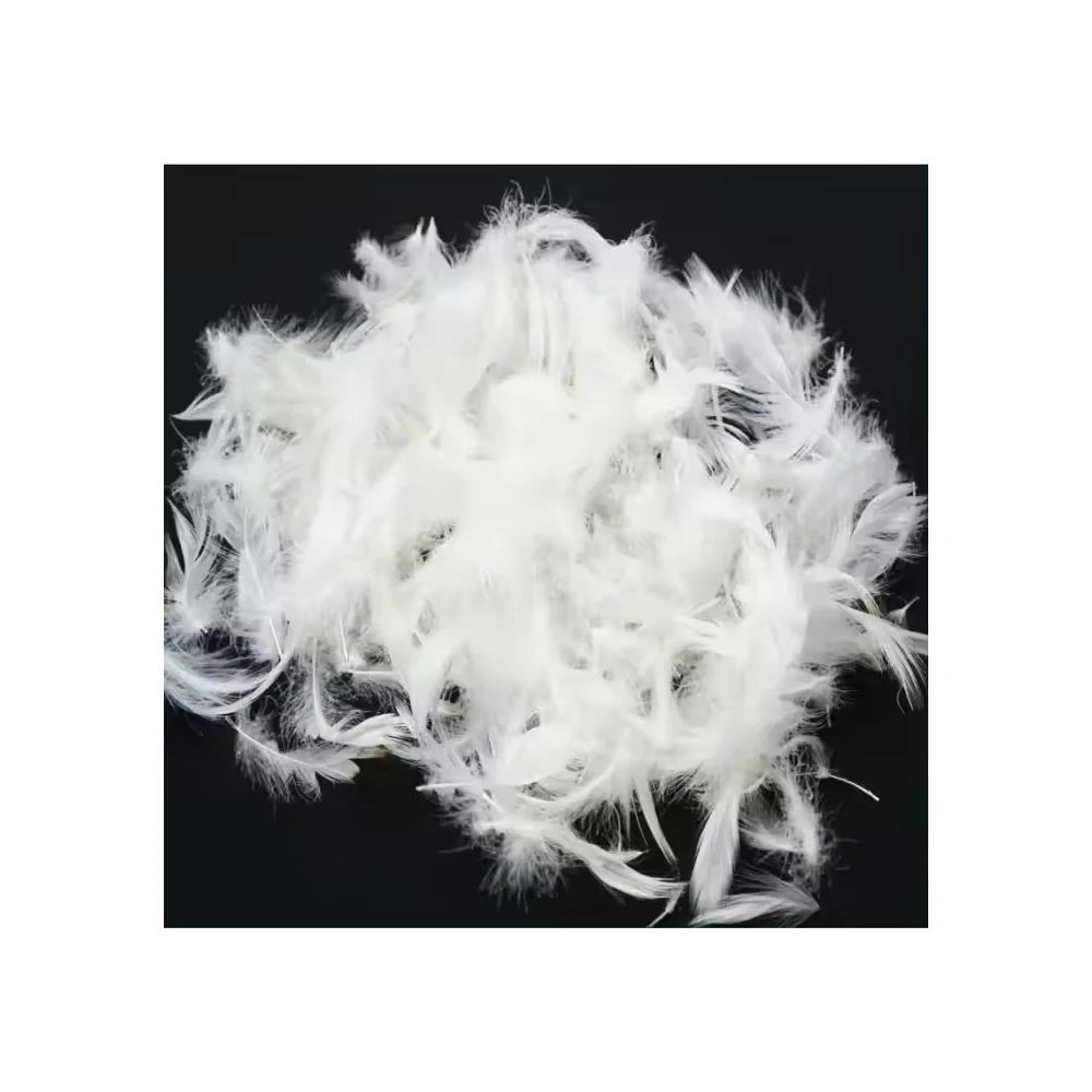 Premium Washed Duck Feather Filling for Bedding Cushions and Upholstery Soft Hypoallergenic and Durable with Wholesale Price