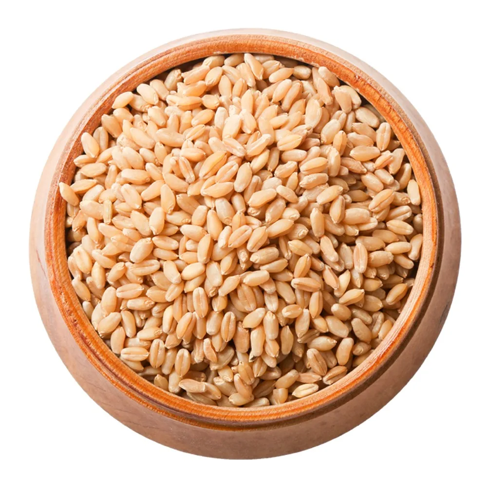 Hot Sales Delicious Taste High Grade Quality Soft and Hard Wheat Grains/Premium Quality Hard Wheat wholesale
