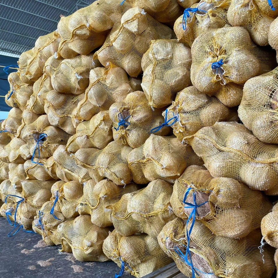 Wholesale mature semi husked dry coconut in bag Fresh newly harvested made in Viet Nam 25 pcs/30kg Phytosanitary Certification