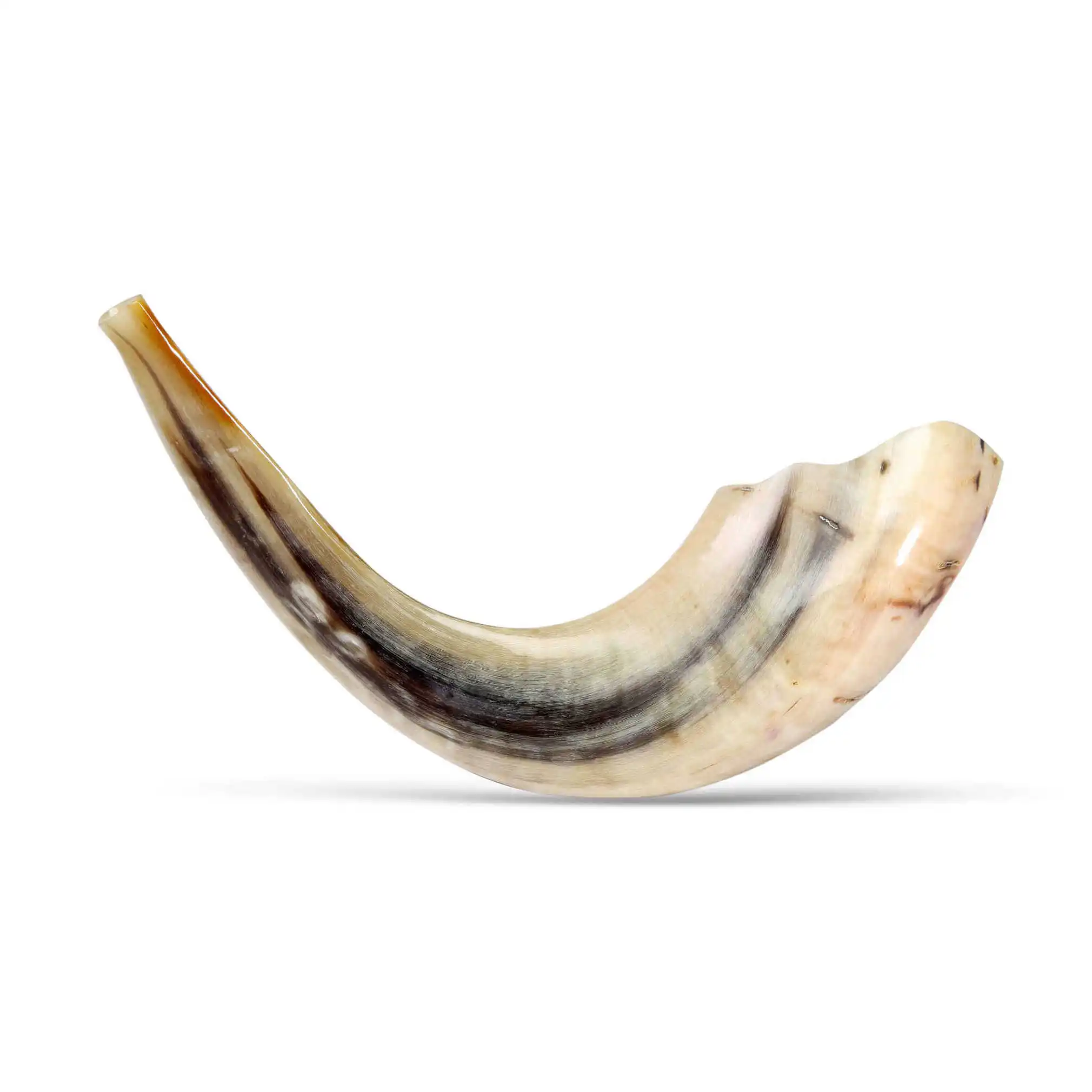 Ram Horn Shofer Jewish Shofar Trumpet Large Rams Horn Shofar with Light Shades Natural Finish With High Quality from India