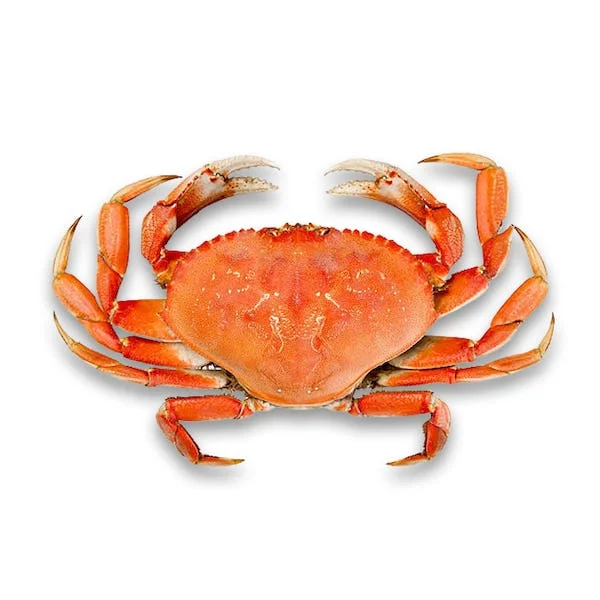 Hot Sale Fresh Red King Crab Fresh/frozen/live Red King Crabs,Soft Shell Crabs,Blue Swimming Crabs