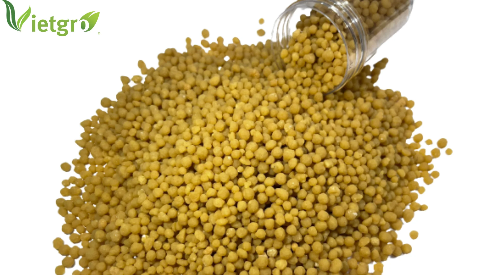Wholesale Diammonium Phosphate DAP 18-46 fertilizer from Vietnamese Manufacturer - Yellow Granular