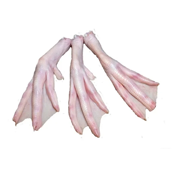 Buy Frozen duck feet / Duck Paw / duck legs At Best Price