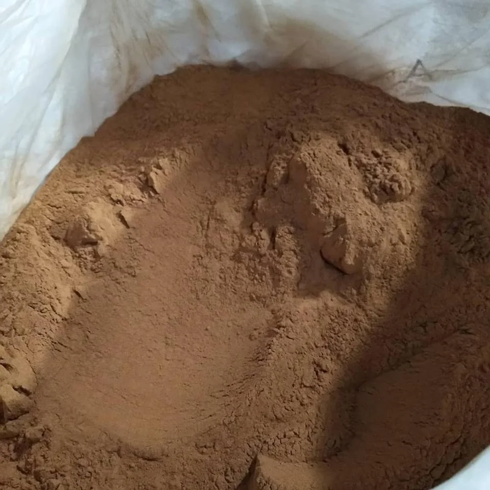 Natural Cinnamon Bark Extract Powder Cinnamon Cassia Vietnam Product Used in Cooking