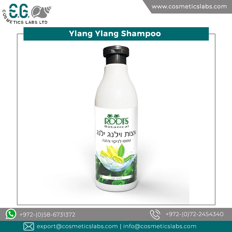 World Wide Exporter Selling 100% Natural Oil Control Algae Extract Ylang Ylang Hair Shampoo for Oily Hair from Israel