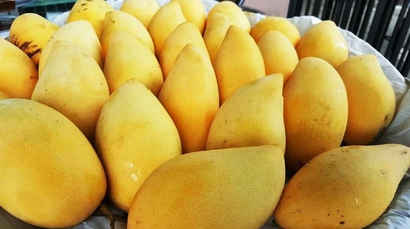 Свежий манго