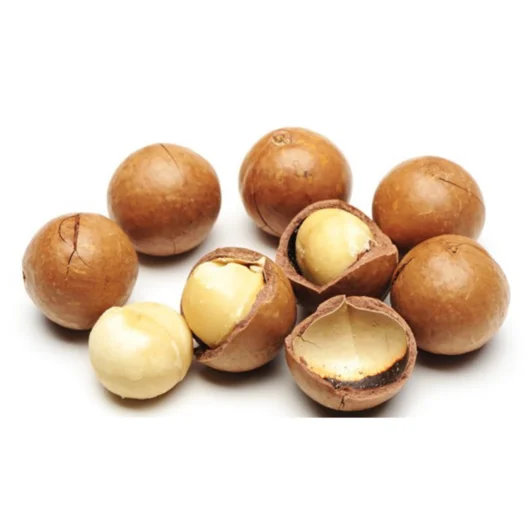 Roasted Macadamia Nuts High Nutrition From Vietnam