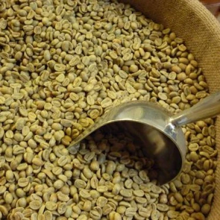 coffee beans 15.jpg
