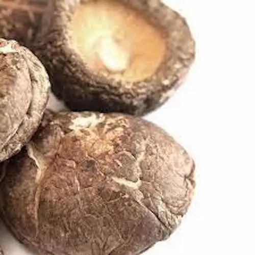 Organic Whole Dried Shiitake Mushrooms from Thailand