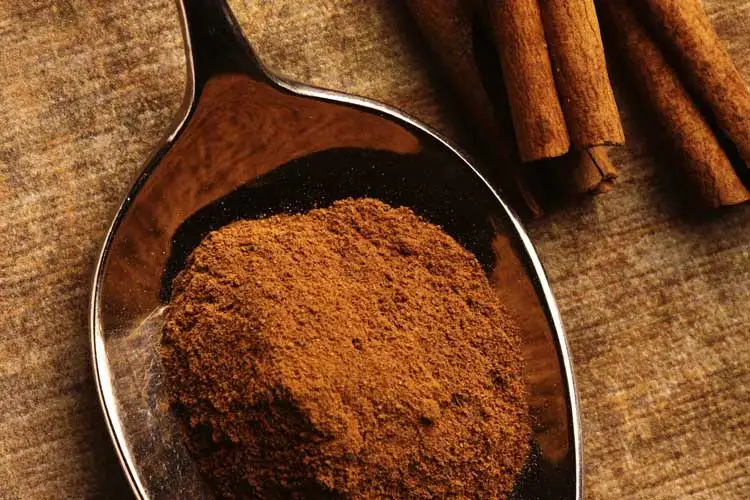 Фармацевтический натуральный порошок корицы/порошок экстракта коры корицы/янтарный