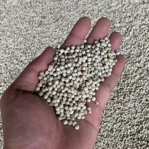 Good Price High Grade White Pepper for Poland Market 100% Natural White Pepper from Vietnam