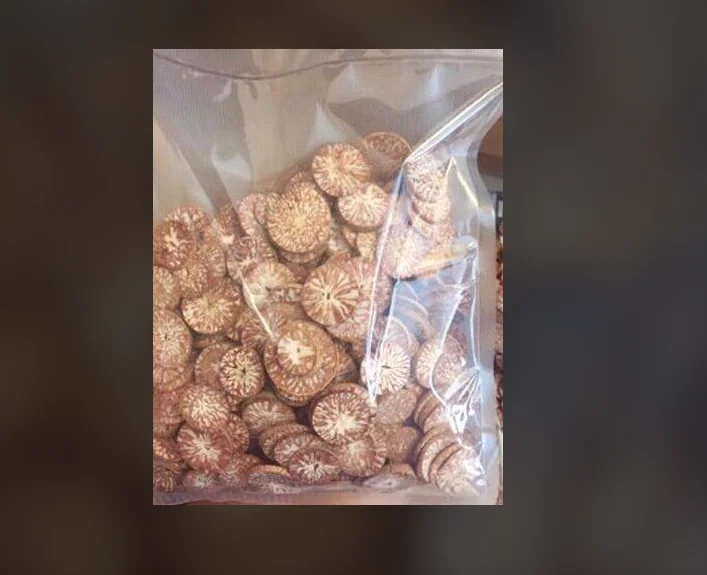 Betel Nuts.PNG