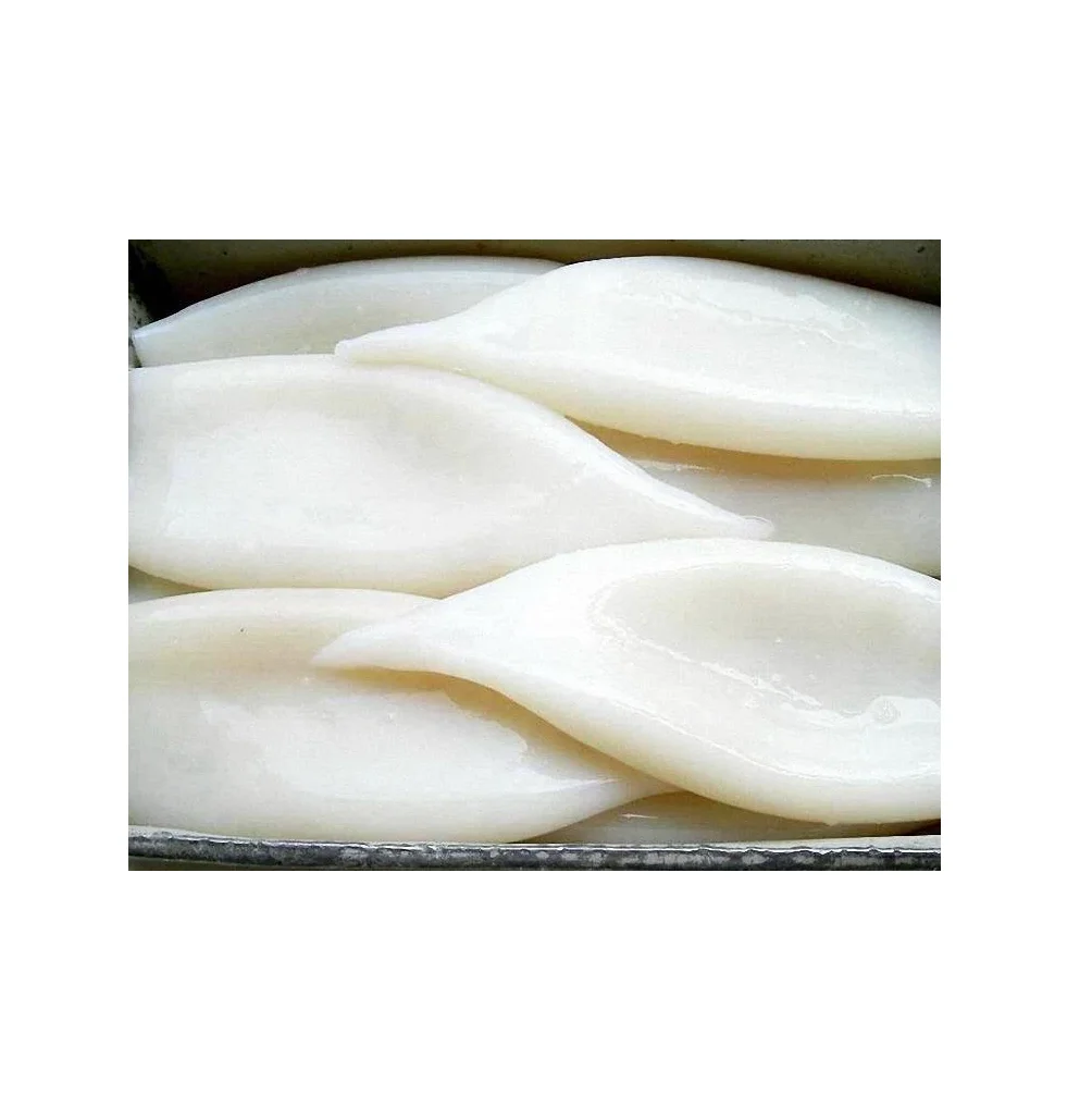 Frozen Squid Tube u5  Original Quality Supplier
