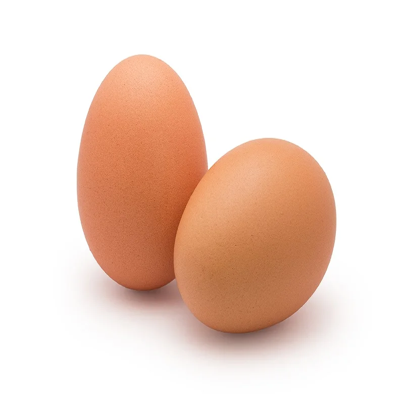 Farm Fresh Chicken Table Eggs Brown and White Shell Chicken Eggs for sale