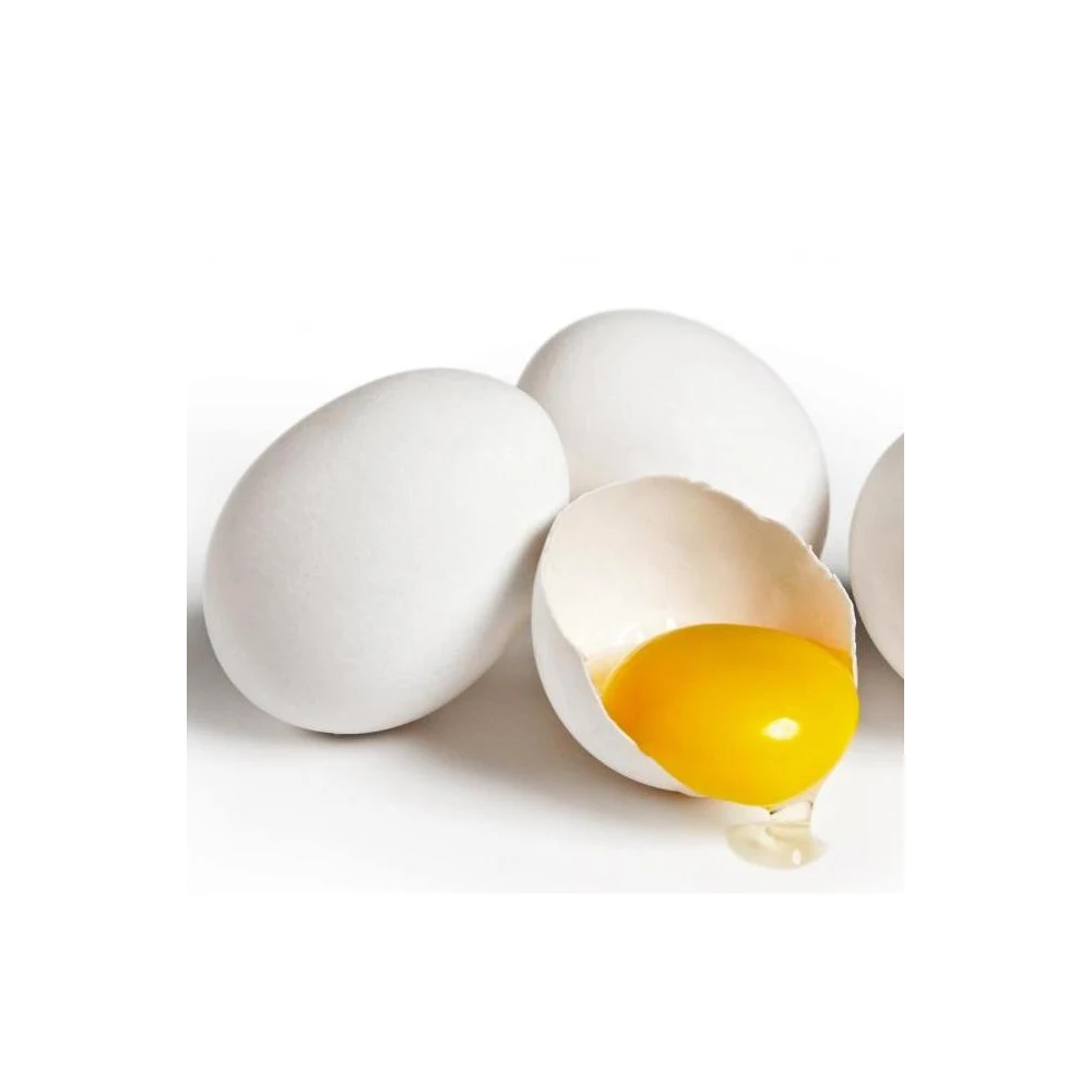 Poultry equipment 1056 chicken egg incubator hatching machine