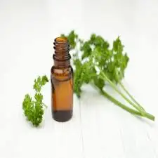 Cosmetic Grade Factory Wholesale Oil Parsley Seed Oil
