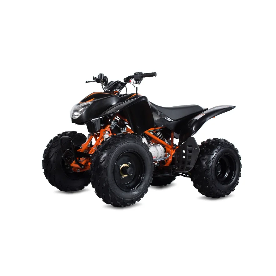 Quad ATV Bike 250CC Exporter