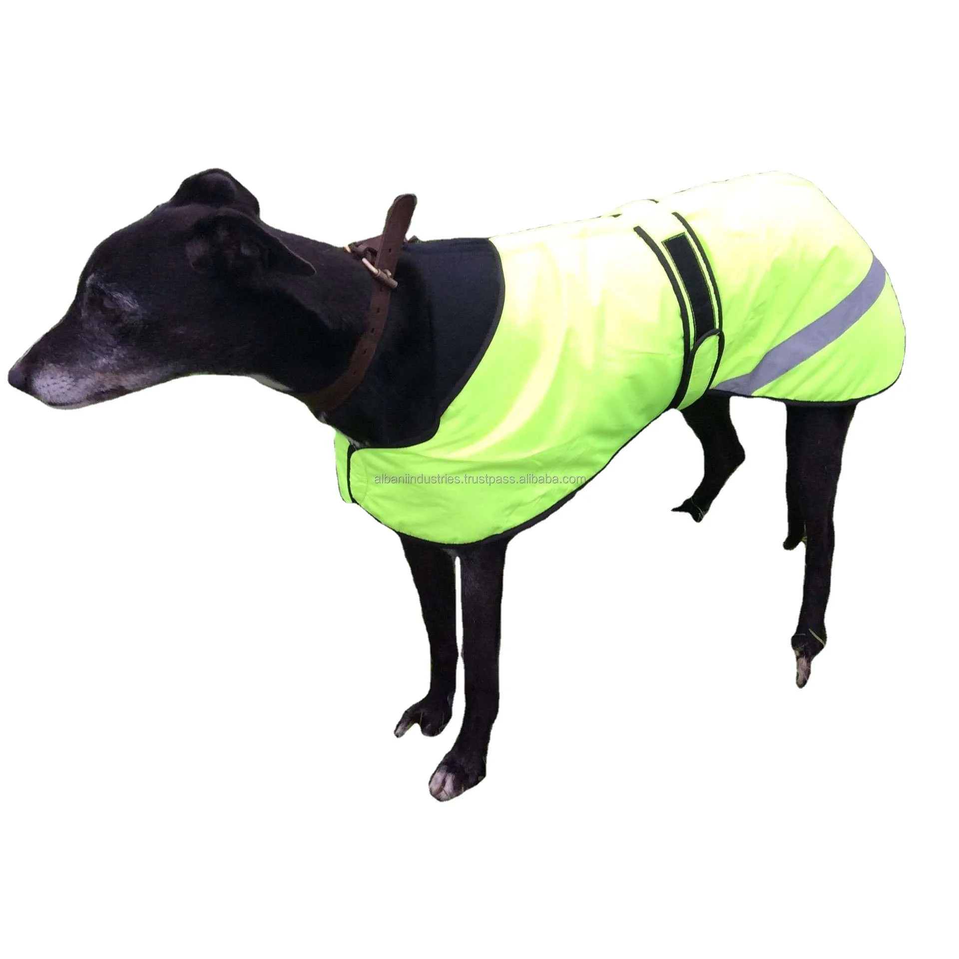 Padded Waterproof Walking Coat for Greyhounds for Dogs in Fall Winter Spring Summer Made from PU Polyester Plastic