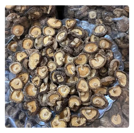 BEST SELLING - High Quality Dried Shiitake Mushrooms - Top Export from Vietnam
