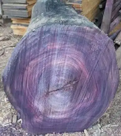 Бревна розового дерева для продажи