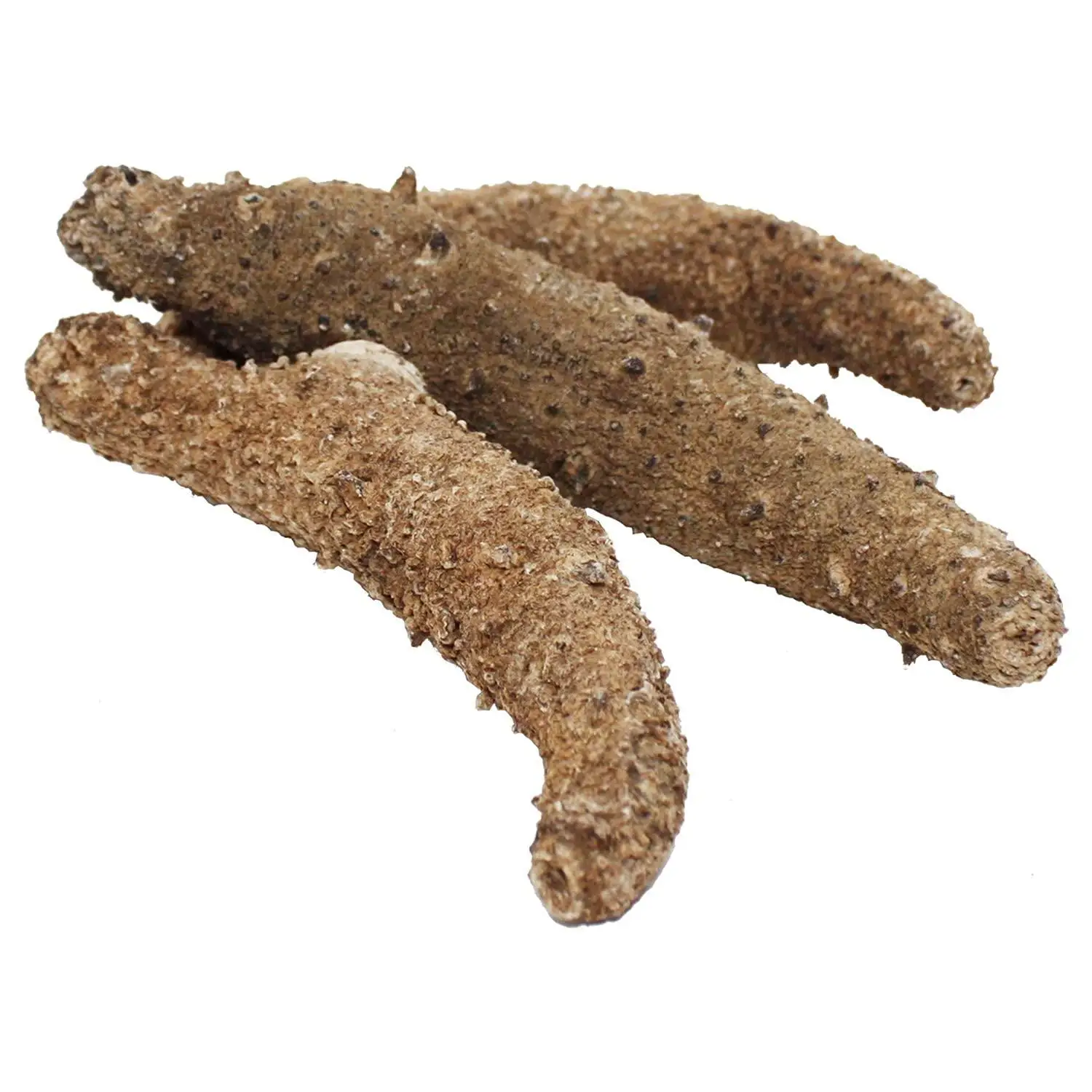 DRIED SEA CUCUMBER / Top Quality Wholesale Dried Sea Cucumbers / Sun Dried Sea Cucumber