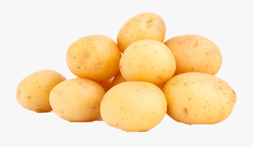 New crop mesh bag pack Yellow flesh potato wholesale fresh potato ,and Supplier beautiful to eat, delicious, 100% halal
