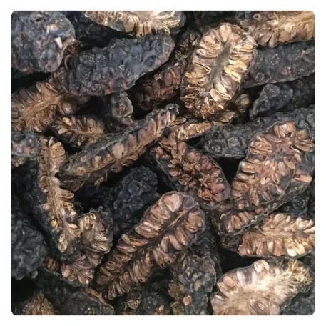 BEST PRICE VIETNAMESE DRIED NONI LEAVES - HIGH-QUALITY ORGANIC WELLNESS PRODUCT