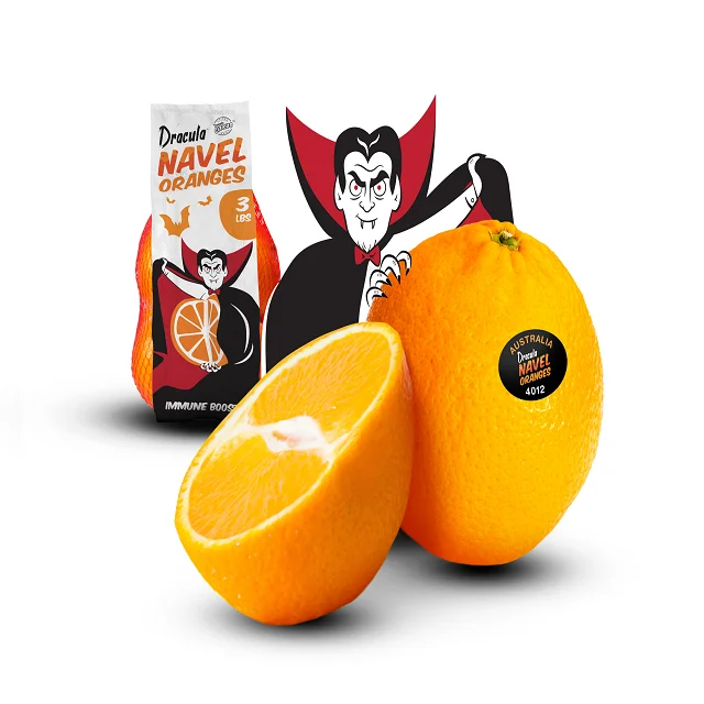 Wholesale Price Fresh Navel Orange Navel Orange for Sale