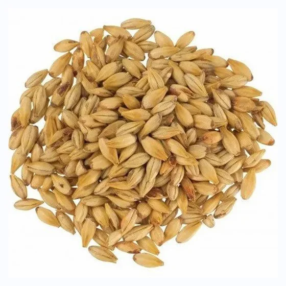 Семена ячменя высшего сорта