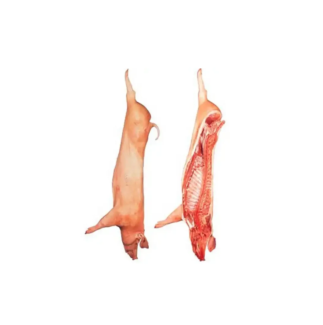 Premium Quality Frozen Pork Half/Full Carcass with Fat Whole Liver Tail IQF Process Bulk Stock at Wholesale Cheap Price
