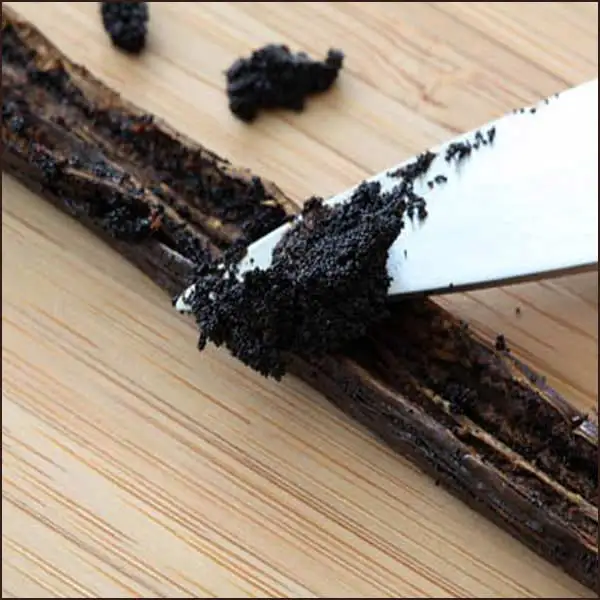 Madagascar USDA Organic Certified a Grade Premium Quality Uganda Vanilla Beans Pods 6 8 Style Weight Shelf Origin Type Life