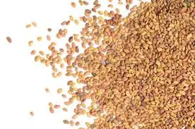 Alfalfa Hay Animal Feeding &  Alfalfa Hay Bales For Cattle Feed & Horse Feed For Sale