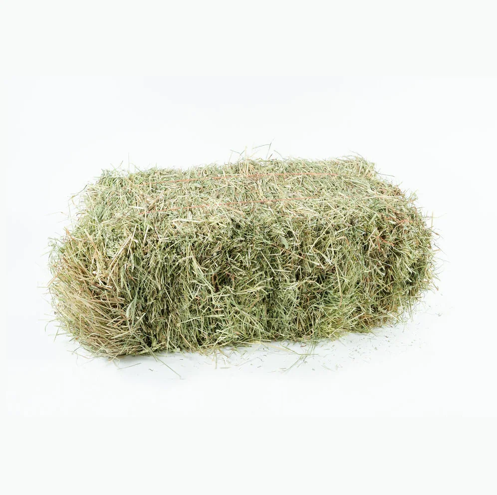 High Quality Alfalfa Hay, Quality Bermuda Grass, Quality Orchard Hay for Animal Feed