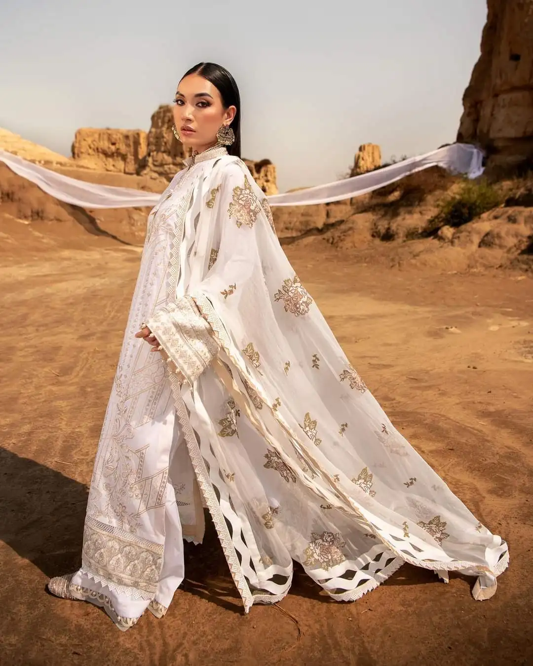 India & Pakistan Clothing saree panjabi ethnic hot selling 2022 model lawn suit very beautiful bright good looking lengha  134