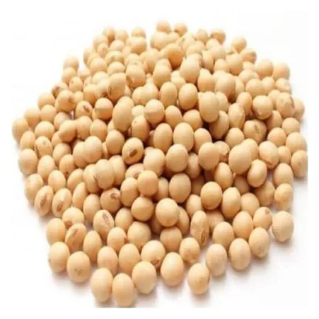Premium Natural Non-GMO Yellow Soybean Seeds - High-Quality Soya Beans for Food and Planting