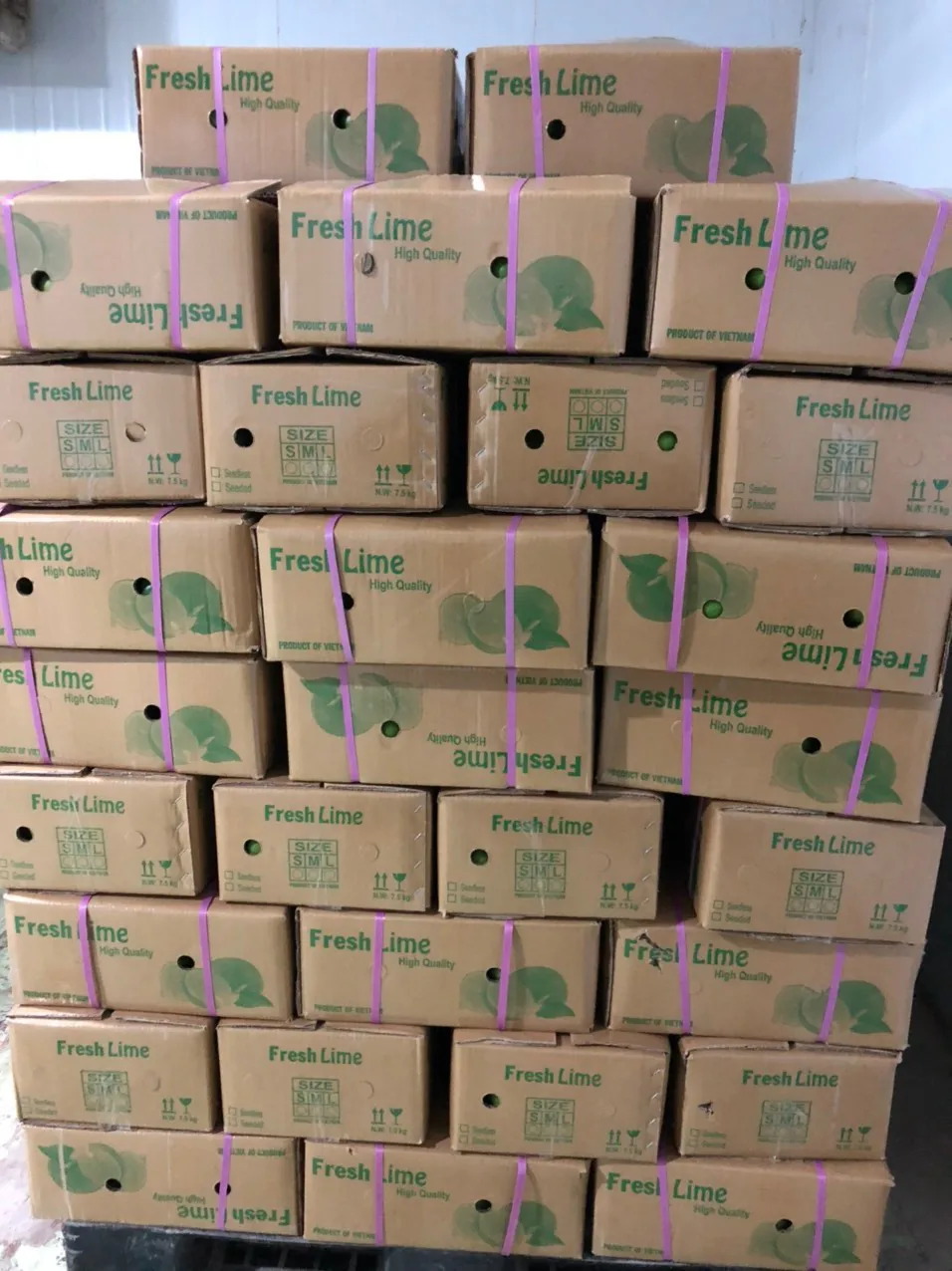 Wholesale price lemon fresh fruit fresh lemon for sale  Green Sour Taste Seedless Lemon Lime From Vietnam