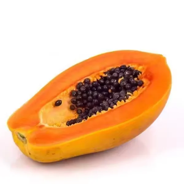 Hot Selling Papaya Seed Oil with Pure Natural Grade Bulk Suppliers Papaya Seed Oil For Sale By Indian Exporters