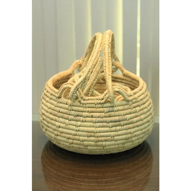 Fruit Basket Shopping Storage Plastic Basket Print Link Logo Food Color Feature Eco Material Origin Type Size Friendly Place